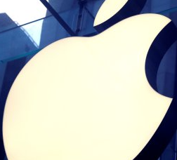 애플, 사상최대 실적 공개…전 부문 두자리수 증가