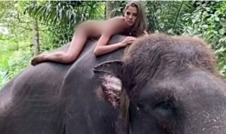 벌거벗은채 코끼리 올라탄 러 여성..”돈에 눈이 멀었다” 비난 쇄도