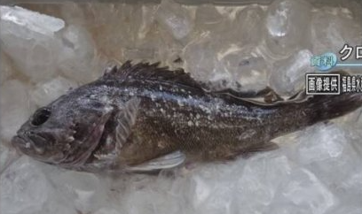 후쿠시마 앞바다 물고기에서 ‘기준치 5배’ 방사성 물질 발견