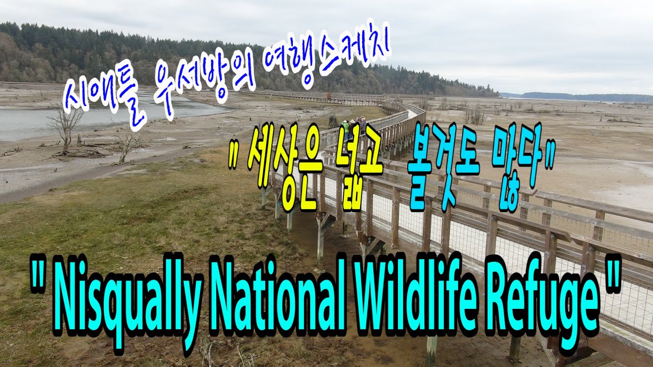 [시애틀여행] 시애틀우서방의 여행스케치 “세상은 넓고 볼것도 많다” – 45편 (Nisqually National Wildlife Refuge / 니스퀄리 내셔널 야생동물보호지역)