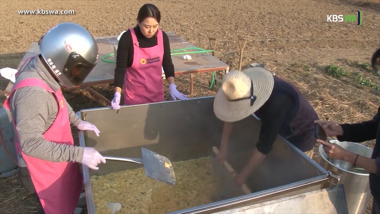 하이봐쉐프 Hi-boa Chef #5  – 대형계란말이도전