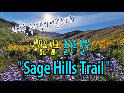 [시애틀 여행] 시애틀 우서방의 여행 스케치 “세상은 넓고 볼 것도 많다” – 61편 (Sage Hills Trail)