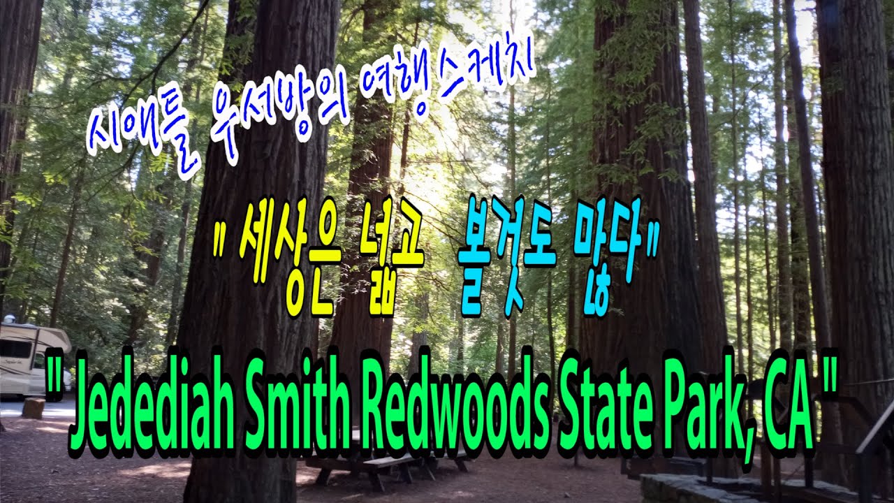 [시애틀여행] 시애틀우서방의 여행스케치 “세상은 넓고 볼것도 많다” –  68편 (Jedediah Smith Redwoods State Park)