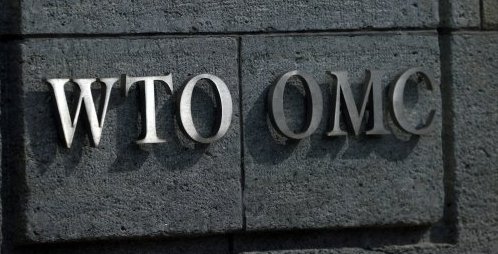 새 변이 ‘오미크론’에···4년 만에 잡힌 WTO 각료회의도 밀렸다