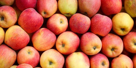 워싱턴주 사과 재배업자들 “미-캐나다 무역협상 중단으로 운영 타격 우려” 커져